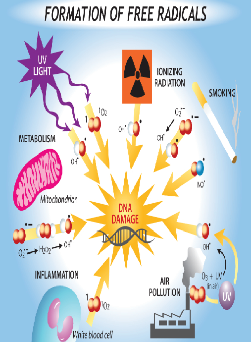 About free radicals